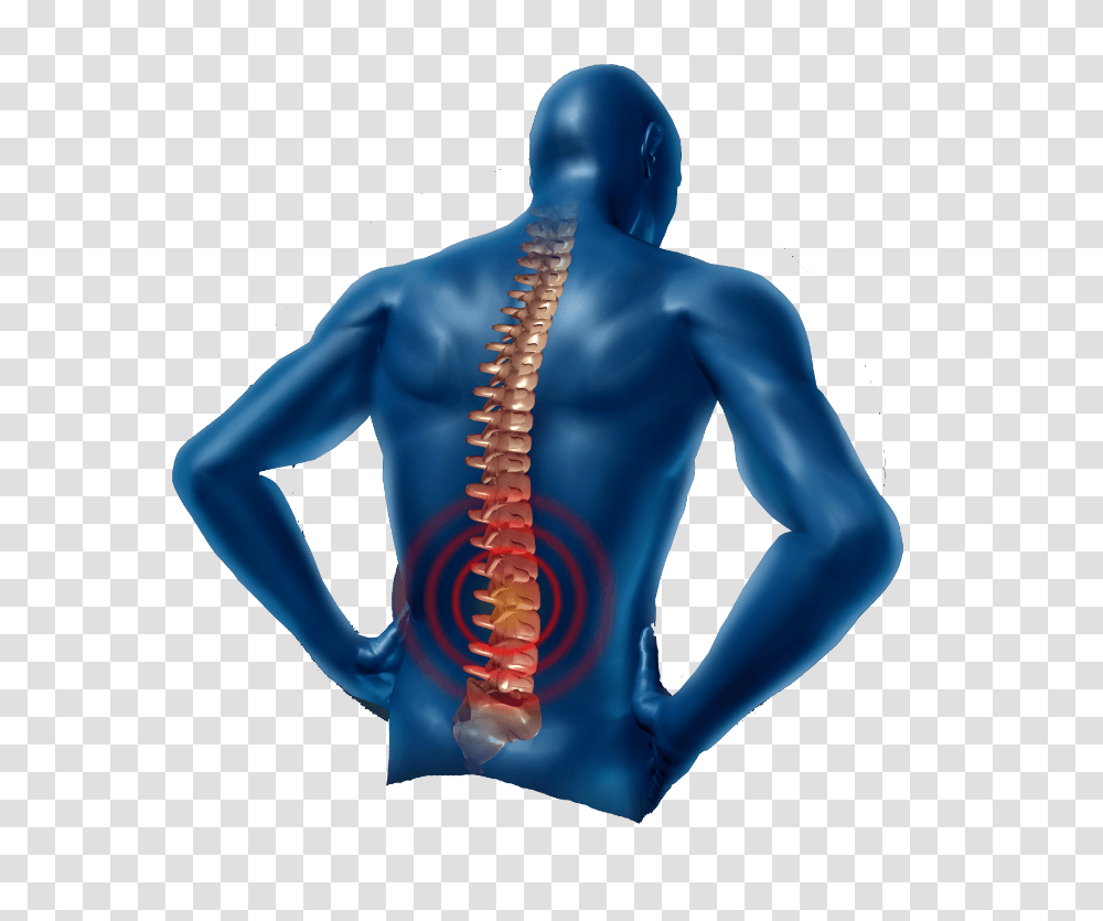 Back Pain Human Dummy Florida Pain Management Pain, Person, Torso, Hip, Sphere Transparent Png
