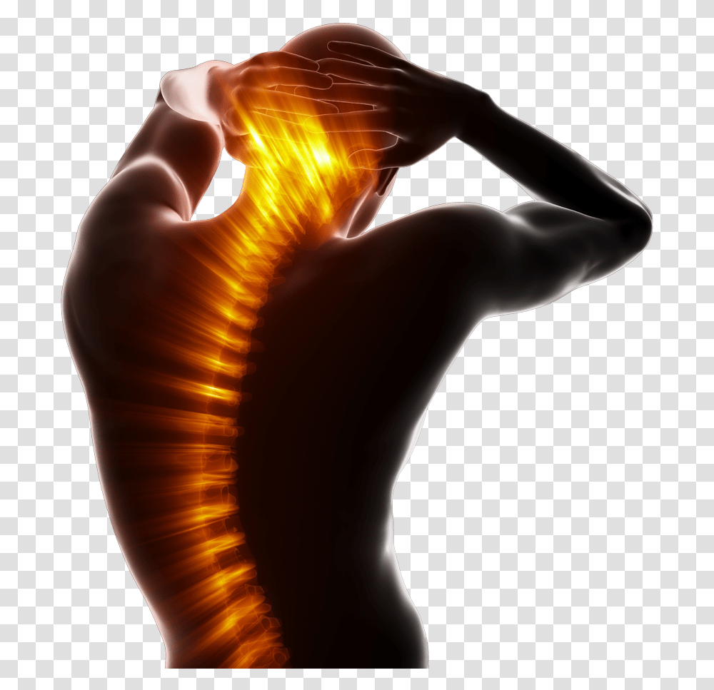 Back Spinal Pain, Hand, Person, Human, X-Ray Transparent Png