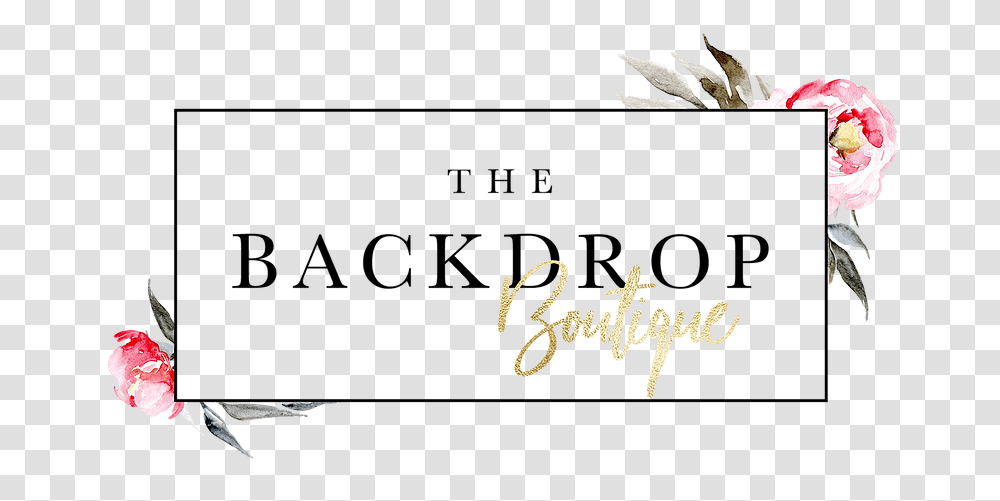 Backdrop Calligraphy, Flower, Plant, Animal Transparent Png