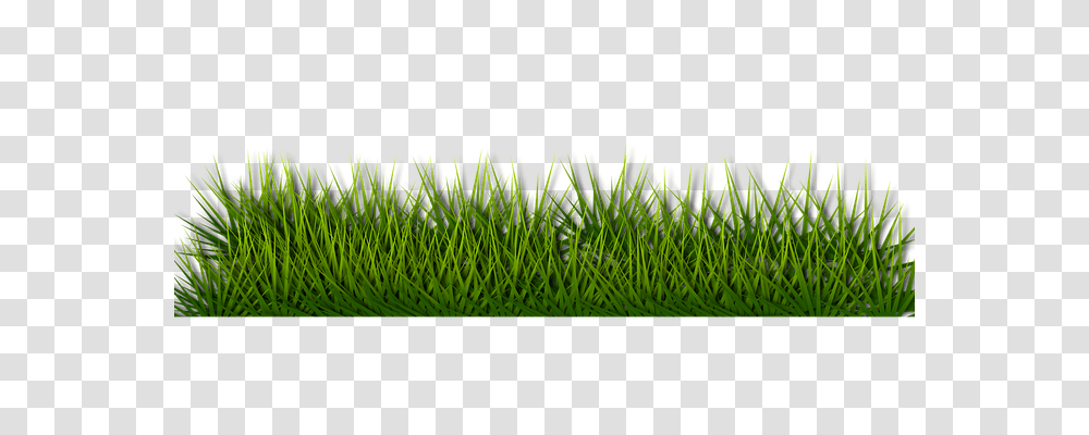 Background Nature, Grass, Plant, Lawn Transparent Png