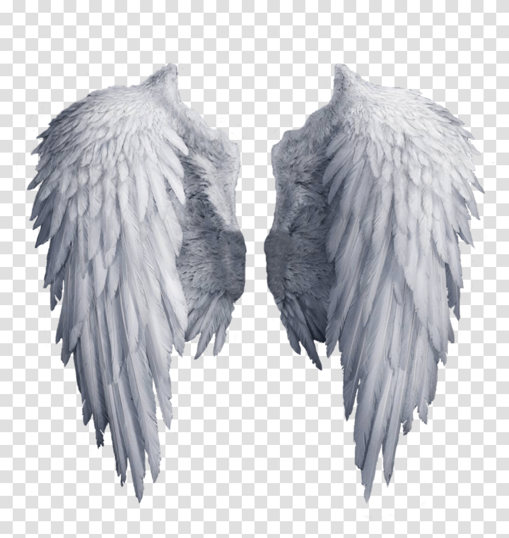 Background Angel Wings, Bird, Animal, Archangel Transparent Png