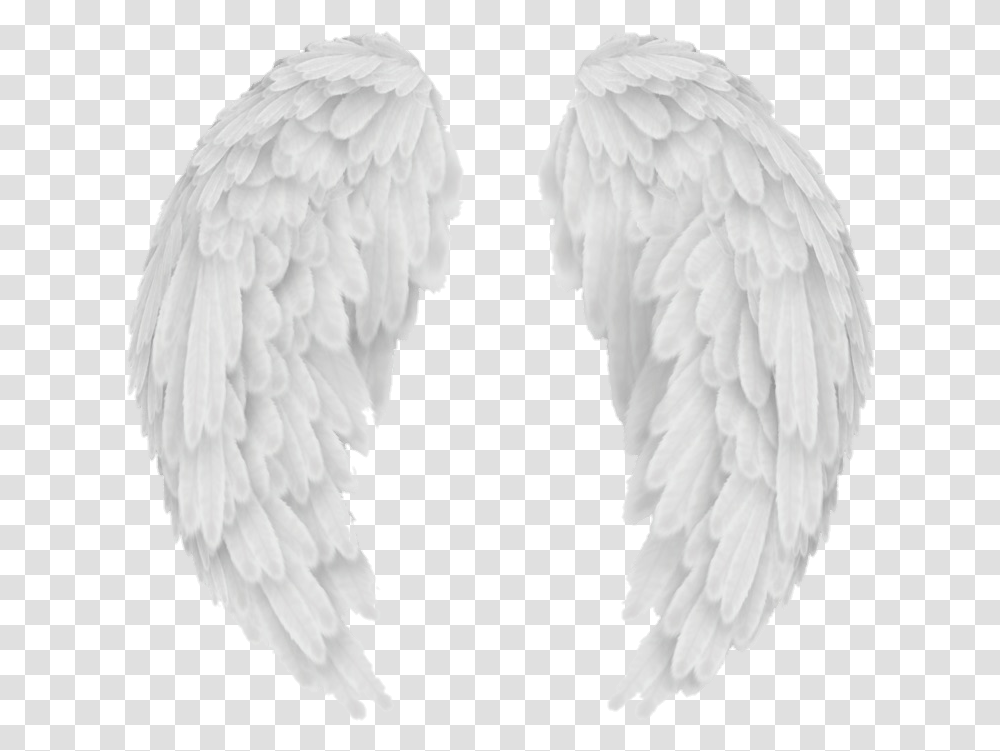 Background Angel Wings, Bird, Animal, Pillow Transparent Png