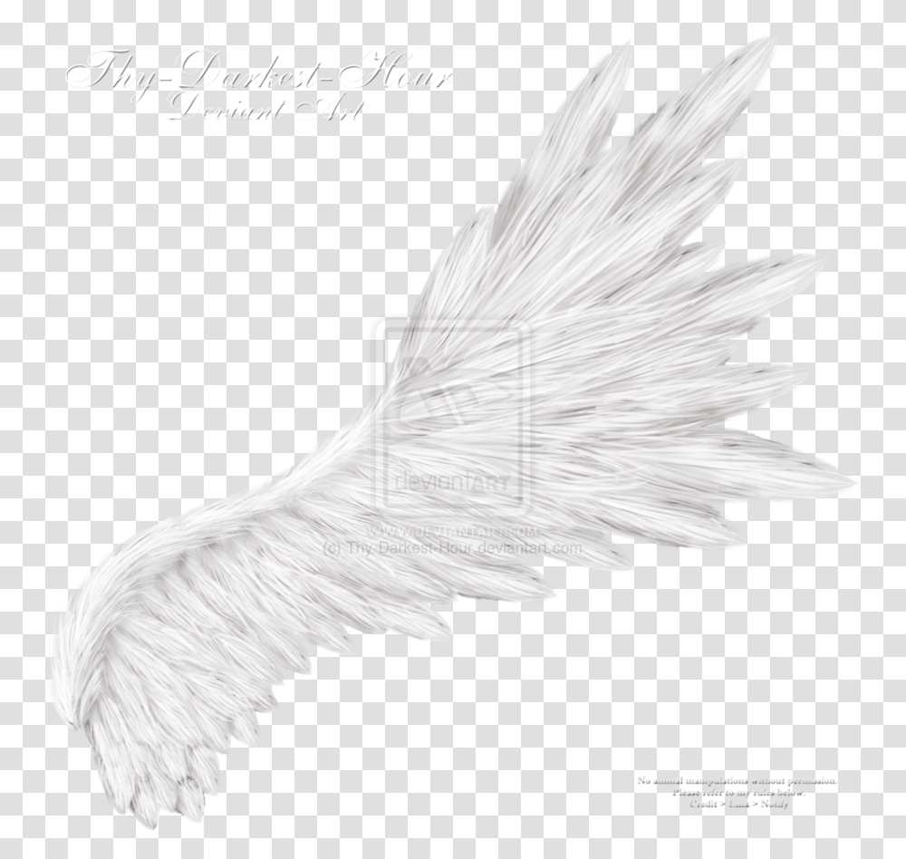 Background Angel Wings Realistic, Bird, Animal, Flying, Eagle Transparent Png