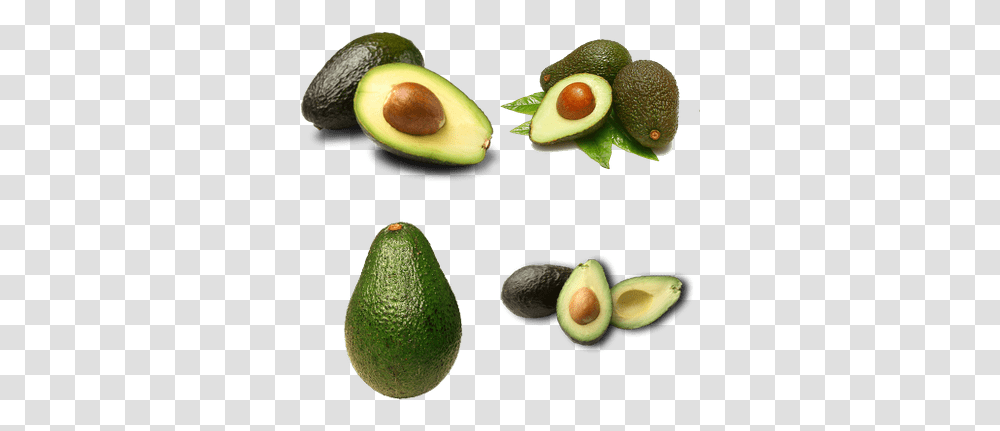 Background Avocados Hass Avocadopng, Plant, Fruit, Food Transparent Png