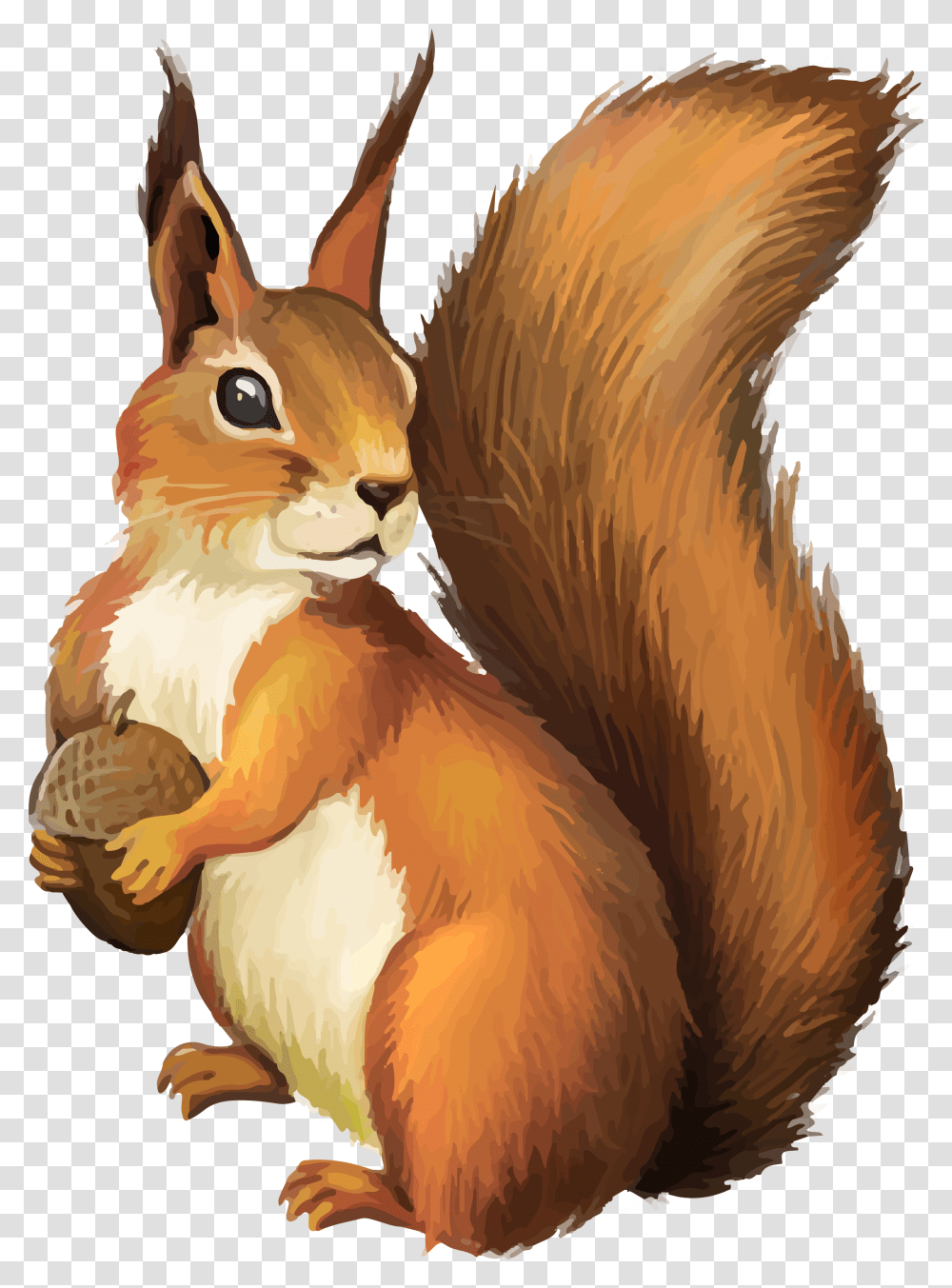 Background Background Squirrel Clipart, Rodent, Mammal, Animal, Chicken Transparent Png