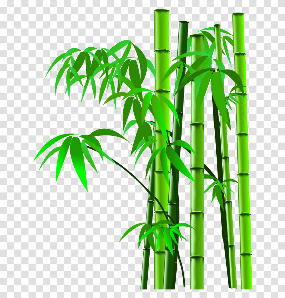 Background Bamboo Tree Cartoon, Plant Transparent Png