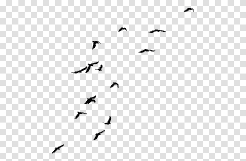 Background Birds Flying, Nature, Outdoors, Astronomy, Outer Space Transparent Png