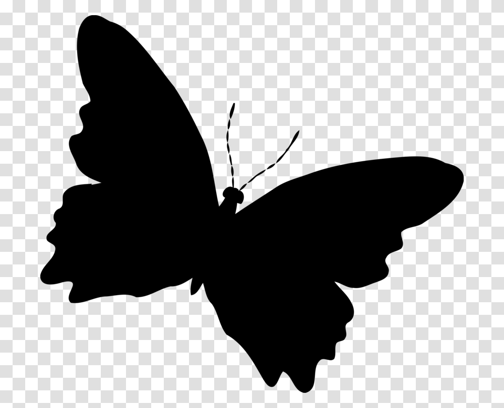 Background Black Butterfly, Gray, World Of Warcraft Transparent Png