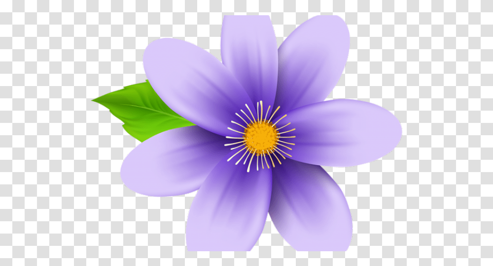 Background Blue Flower Flower Clipart, Plant, Petal, Anemone, Anther Transparent Png