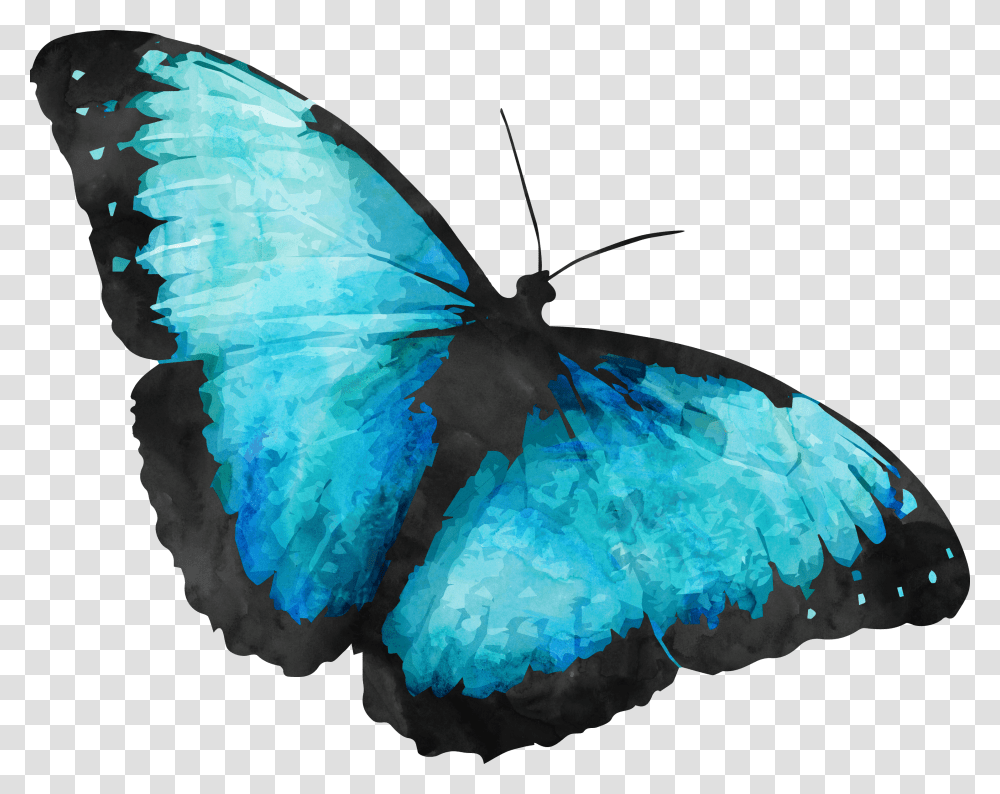 Background Blue Morpho Butterfly Transparent Png