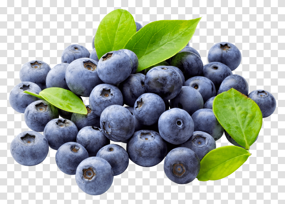 Background Blueberries Clipart, Blueberry, Fruit, Plant, Food Transparent Png