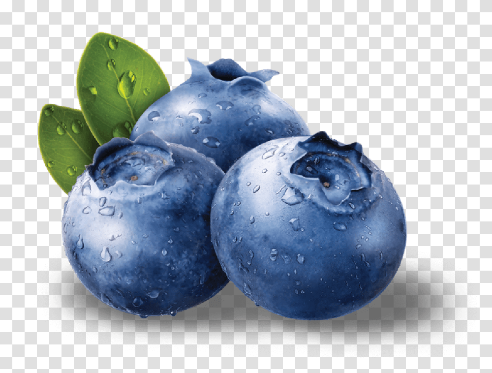 Background Blueberries, Plant, Blueberry, Fruit, Food Transparent Png