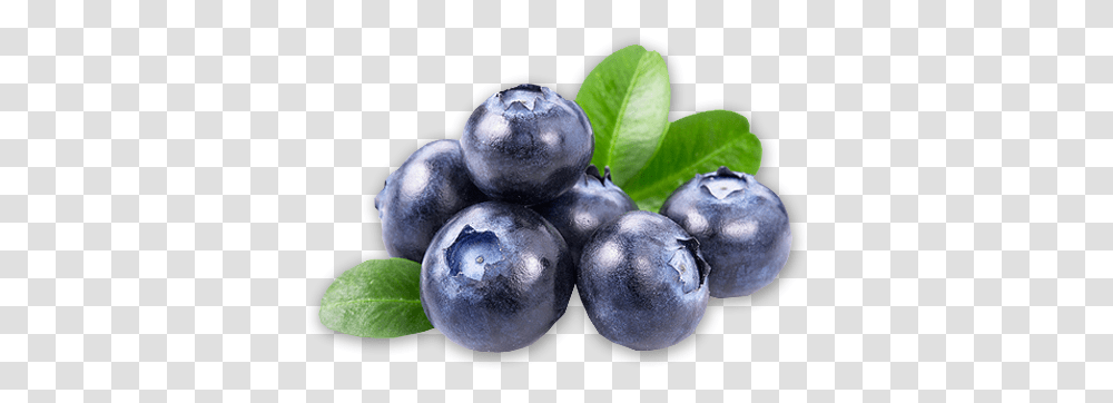 Background Blueberry Free, Plant, Fruit, Food, Plum Transparent Png