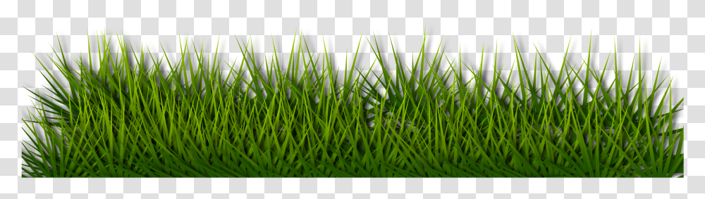 Background Border Grass Green Herb Landscape Green Floor Grass, Plant, Lawn, Ball Transparent Png