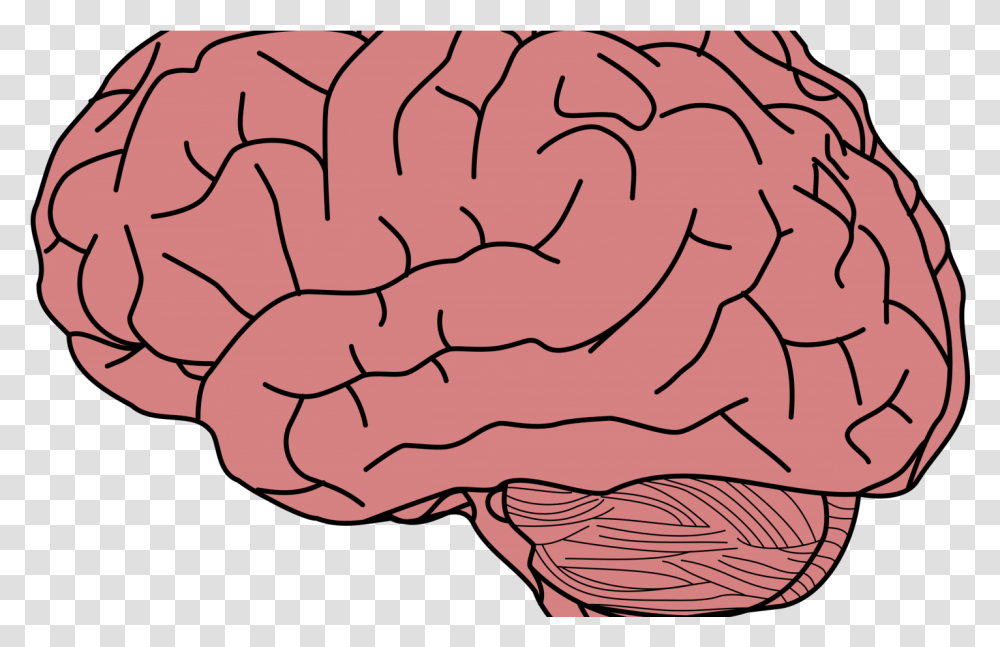 Background Brain Clipart Cartoon Brain Clipart Background, Pattern, Text, Heart Transparent Png