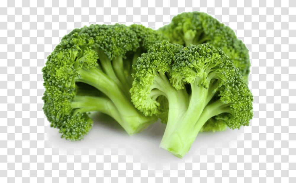 Background Broccoli, Plant, Vegetable, Food Transparent Png