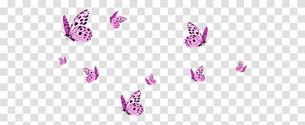 Background Butterflies, Purple, Pattern, Floral Design Transparent Png