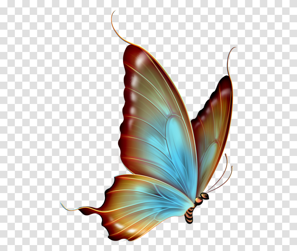 Background Butterfly Background Butterfly Hd, Ornament, Pattern, Fractal Transparent Png