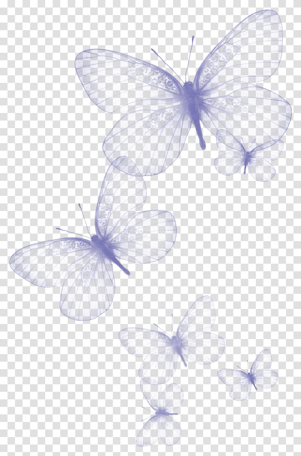 Background Butterfly Clipart, Flower, Plant, Blossom, Petal Transparent Png