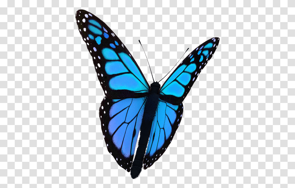 Background Butterfly Gif, Insect, Invertebrate, Animal, Monarch Transparent Png