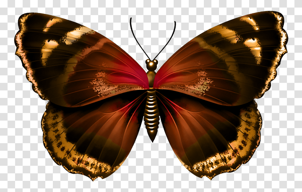 Background Butterfly, Ornament, Pattern, Fractal, Lamp Transparent Png