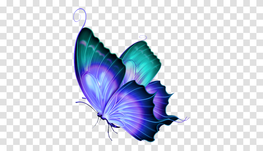 Background Butterfly, Ornament, Pattern Transparent Png