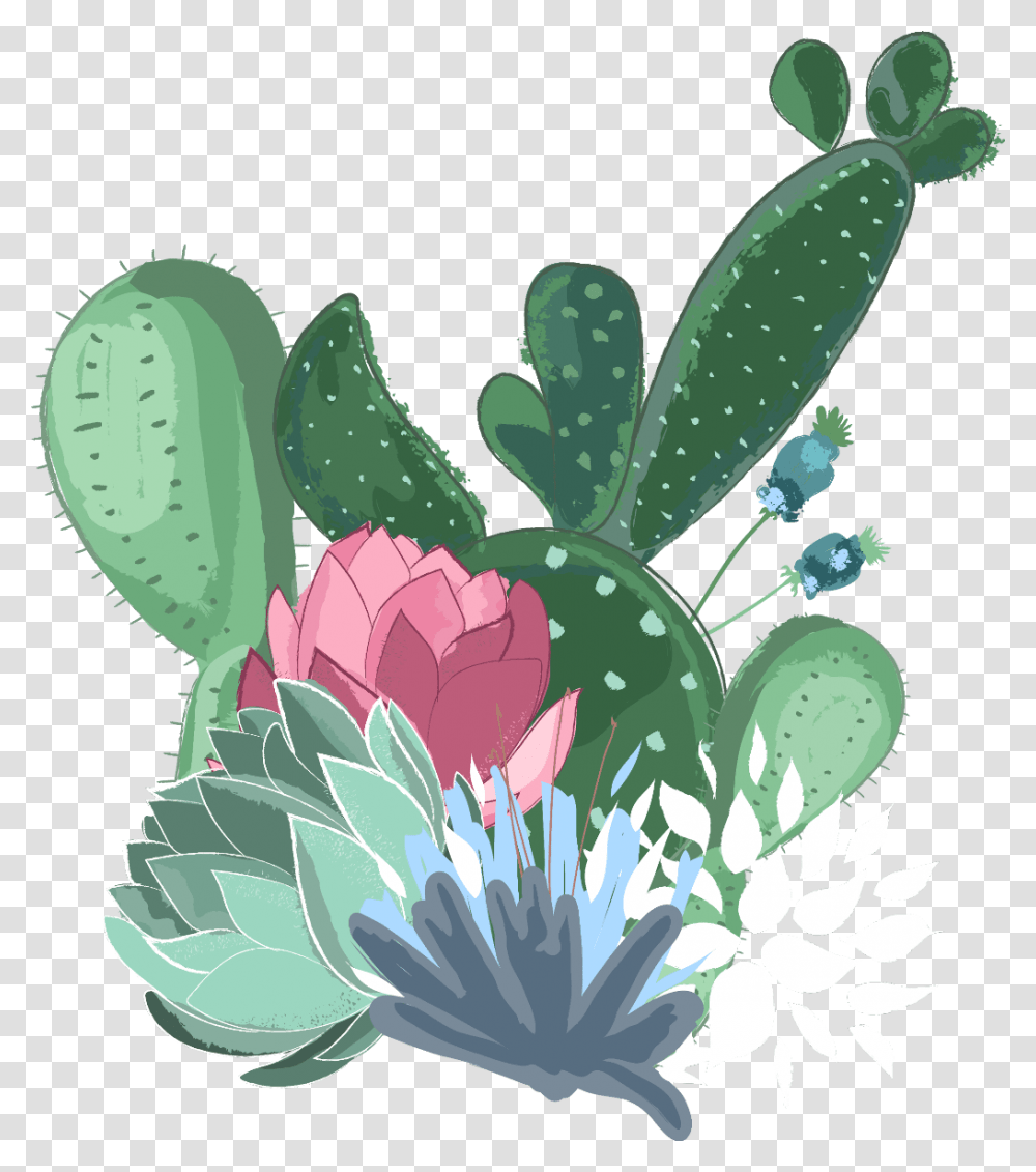 Background Cactus Clipart, Plant, Flower, Blossom, Petal Transparent Png