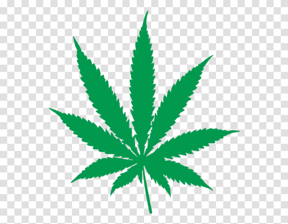 Background Cannabis Leaf, Plant, Weed, Hemp Transparent Png