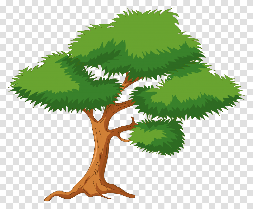 Background Cartoon Tree, Plant, Conifer, Leaf, Fir Transparent Png