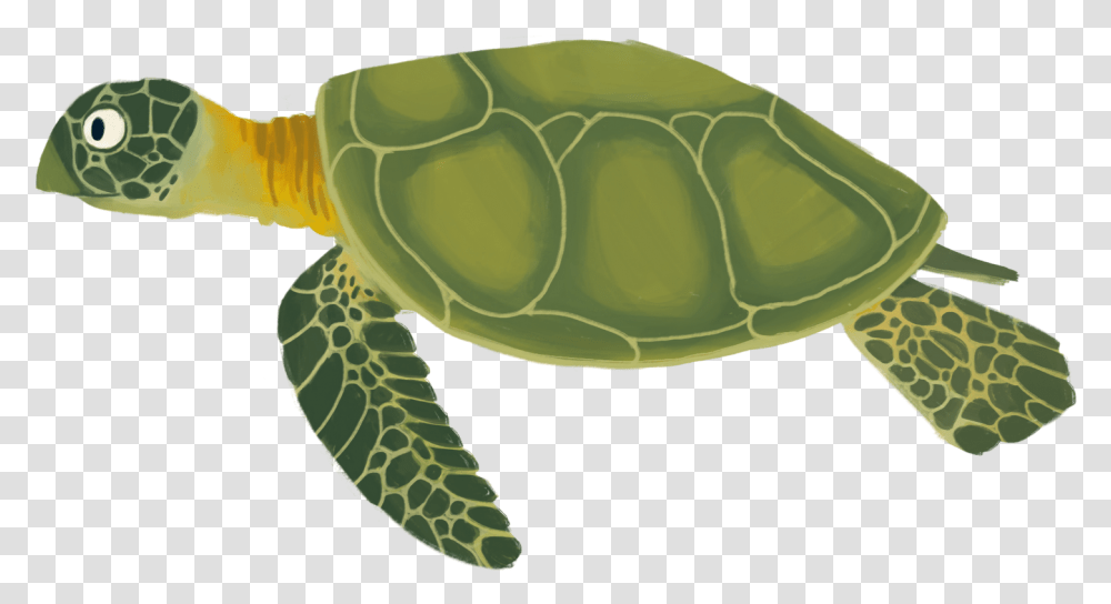 Background Category Sea Turtle Cartoon, Reptile, Animal, Sea Life, Tortoise Transparent Png