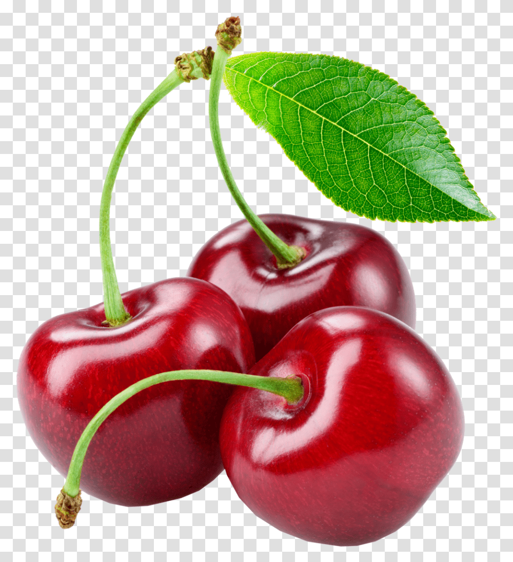 Background Cherries, Plant, Fruit, Food, Cherry Transparent Png