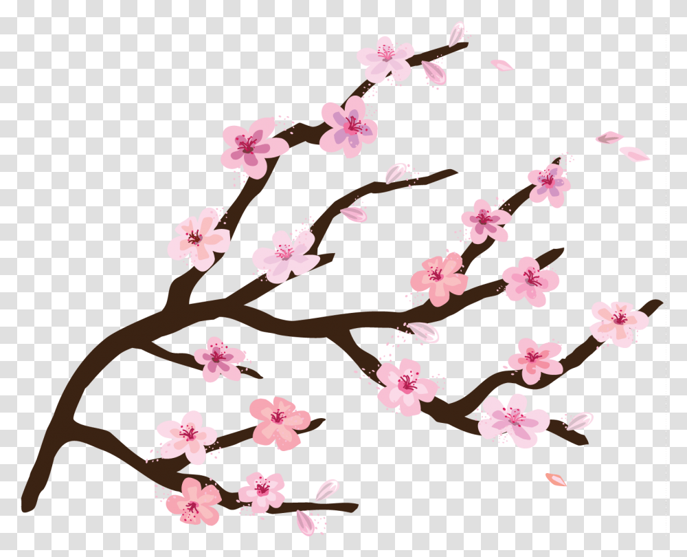 Background Cherry Blossom Clipart, Plant, Flower, Petal Transparent Png