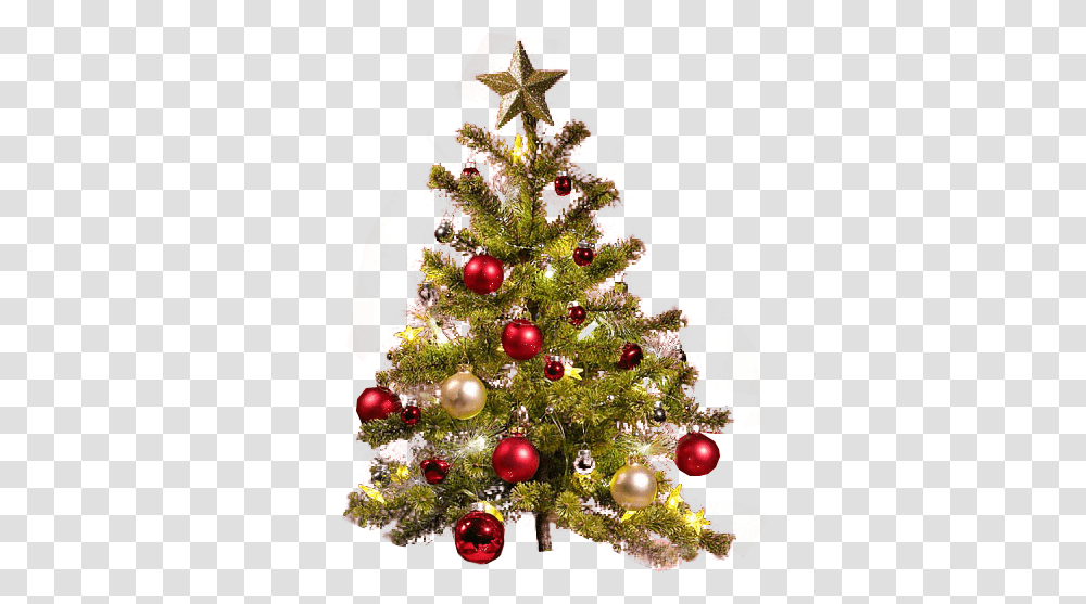 Background Christmas Tree No Background, Ornament, Plant Transparent Png