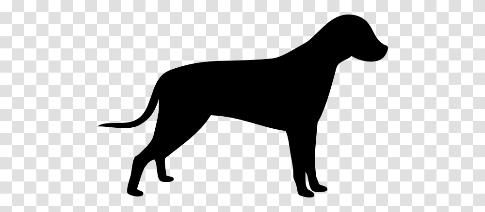 Background Clip Art Bull Terrier, Silhouette, Wildlife, Animal, Mammal Transparent Png