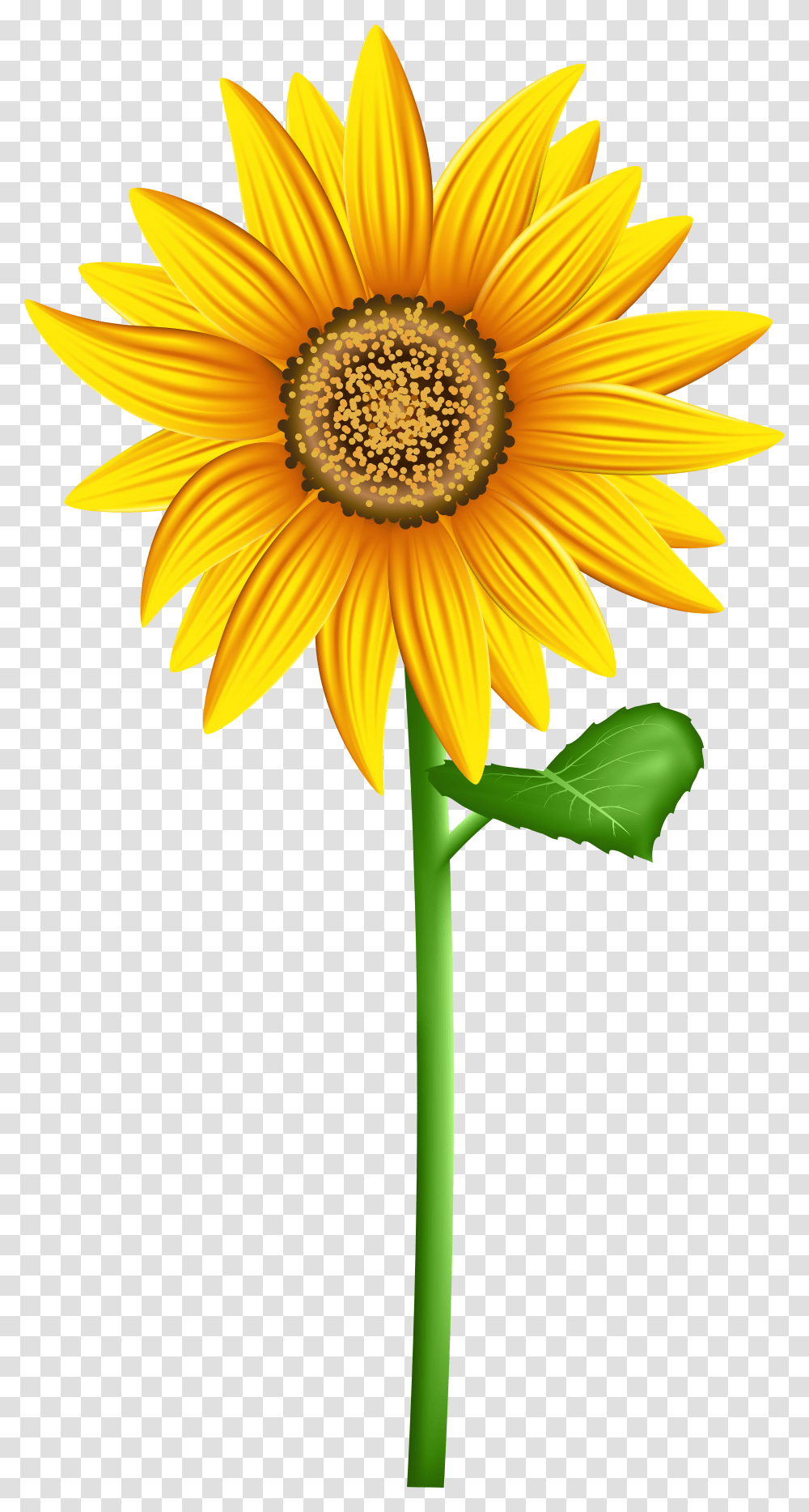 Background Clip Art Sun Flower Background Sun Flower Clip Art Transparent Png