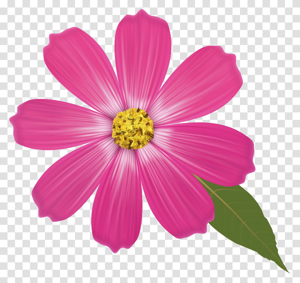 Background Clipart Flower Flower Drawing Color Pencil, Petal, Plant, Blossom, Anther Transparent Png