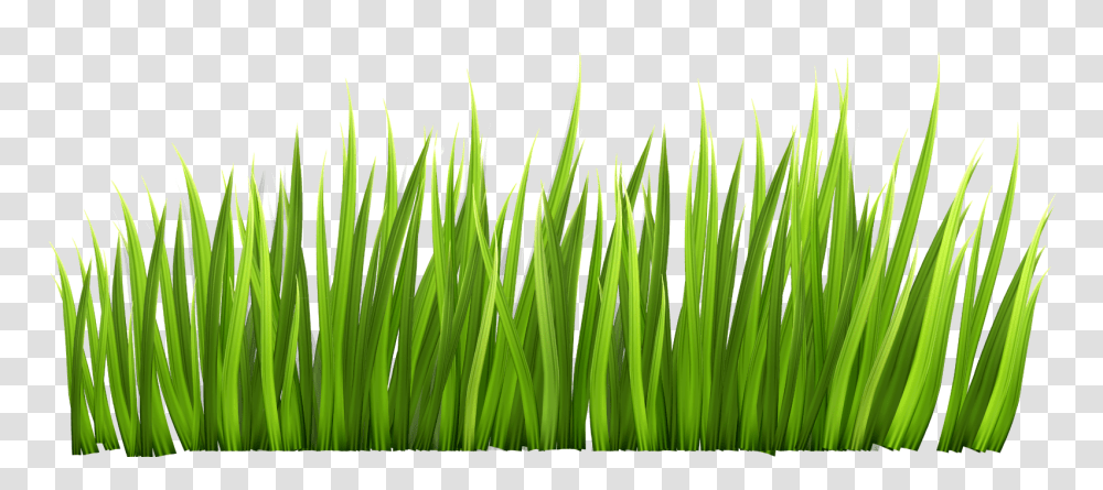 Background Clipart Grass, Plant, Green, Lawn, Vegetation Transparent Png