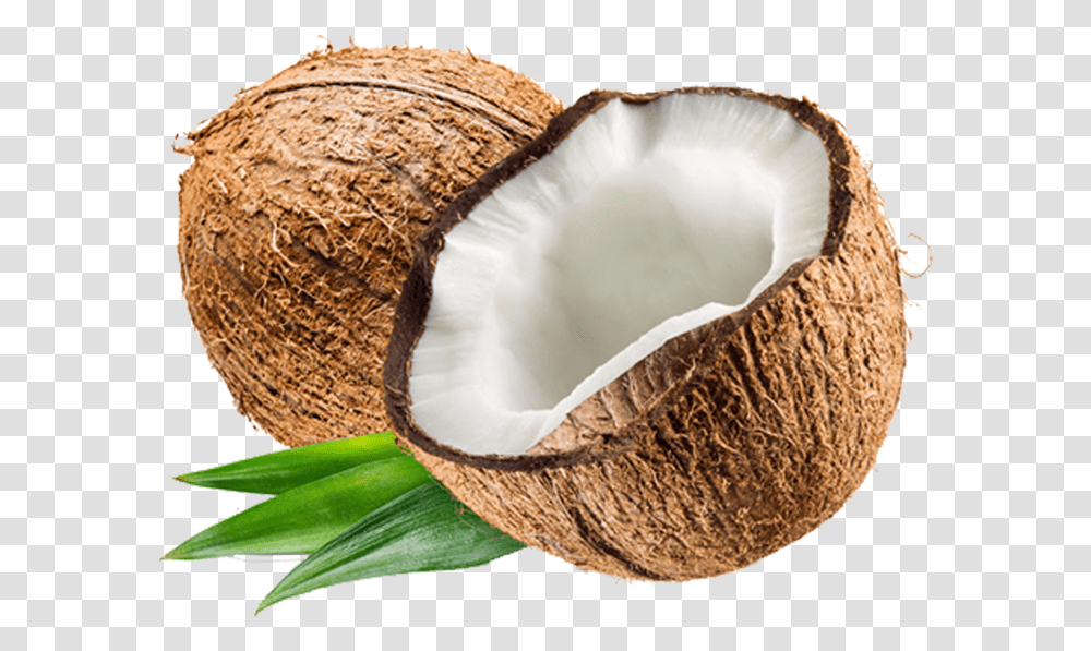 Background Coconut Background Coconut, Plant, Vegetable, Food, Fruit Transparent Png