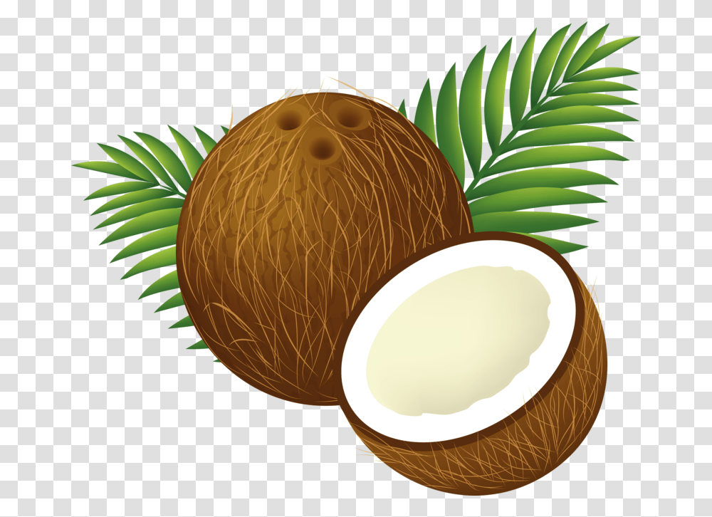 Background Coconut Clipart, Plant, Fruit, Food, Vegetable Transparent Png