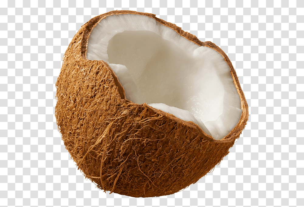 Background Coconut, Plant, Vegetable, Food, Fruit Transparent Png