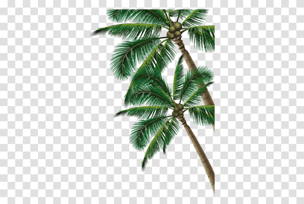Background Coconut Tree Coconut Tree Clipart, Plant, Vegetation, Green, Palm Tree Transparent Png