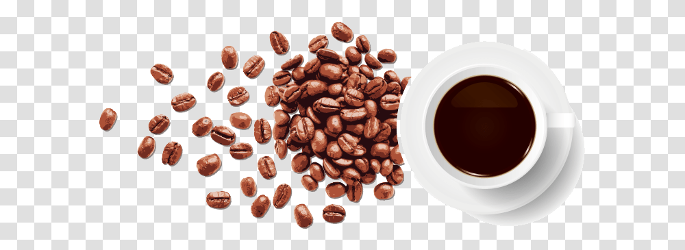 Background Coffee Bean, Plant, Coffee Cup, Vegetable, Food Transparent Png