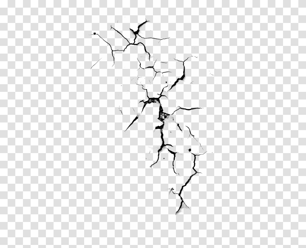 Background Cracks, Drawing, Sketch, Bird Transparent Png