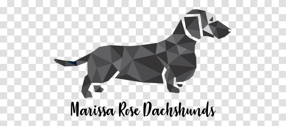 Background Dachshund Clipart, Mammal, Animal, Canine, Pet Transparent Png