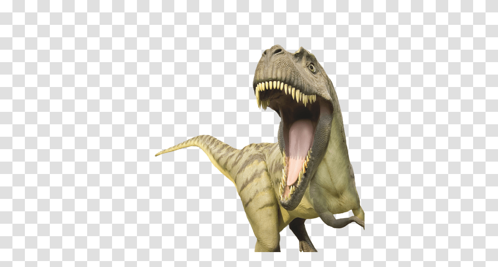 Background Dino, Fantasy, T-Rex, Dinosaur, Reptile Transparent Png