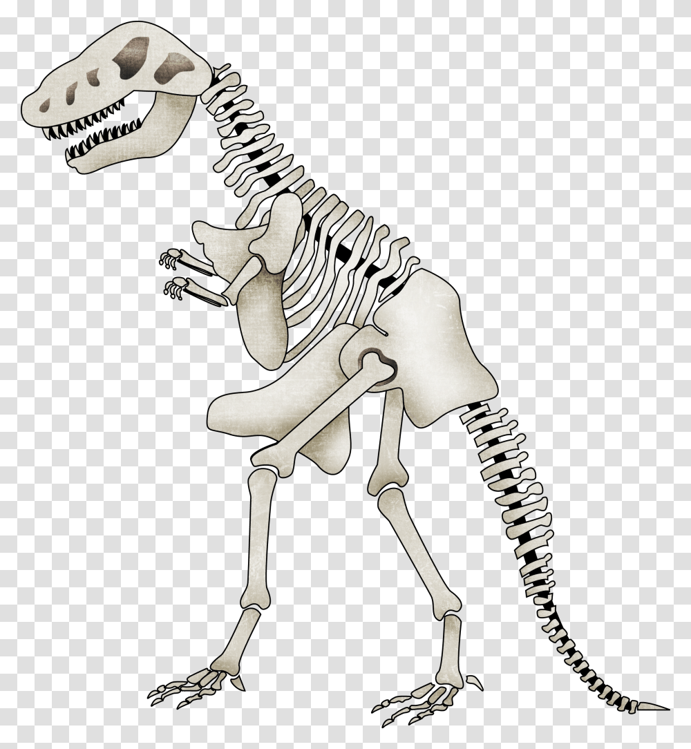 Background Dinosaur Skeleton Clipart, Animal Transparent Png