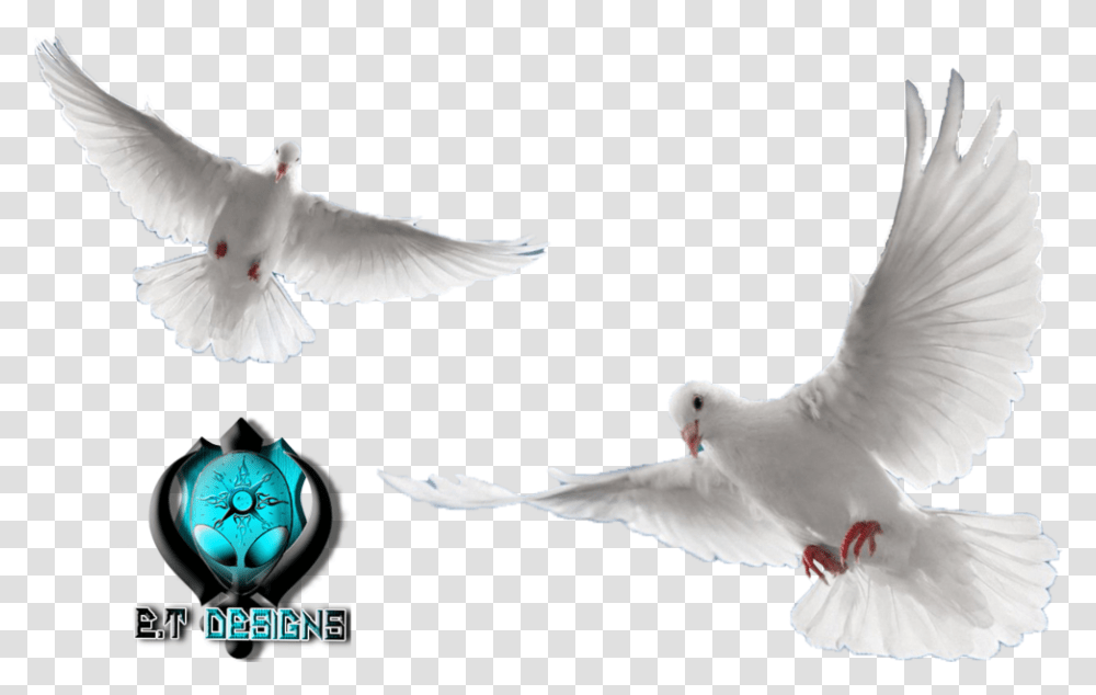 Background Dove, Bird, Animal, Pigeon, Clock Tower Transparent Png