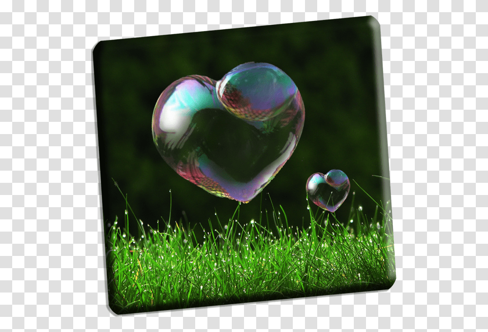 Background Facebook Cover Page, Bubble, Grass, Plant, Sphere Transparent Png