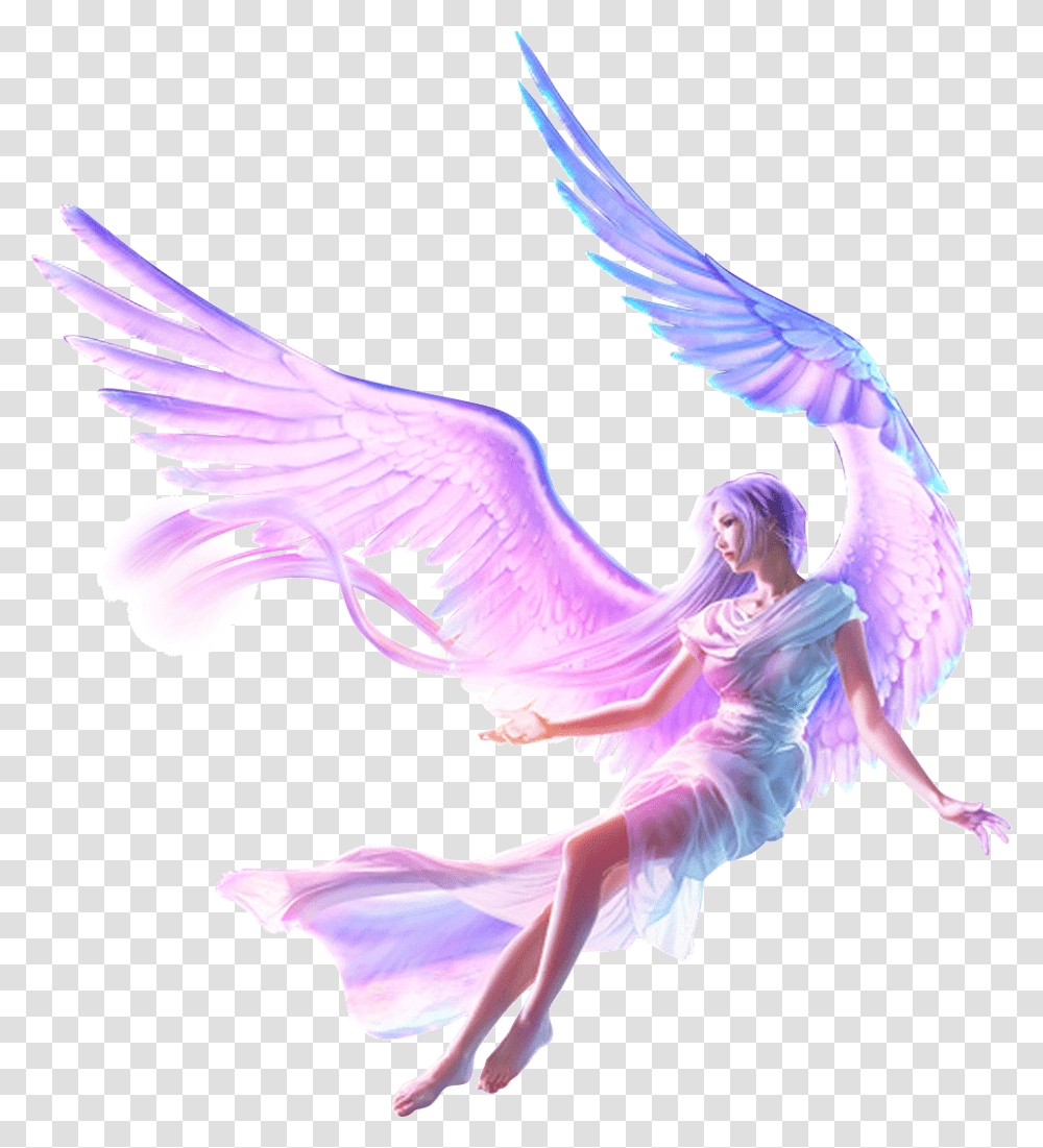 Background Fairy, Bird, Animal, Angel Transparent Png