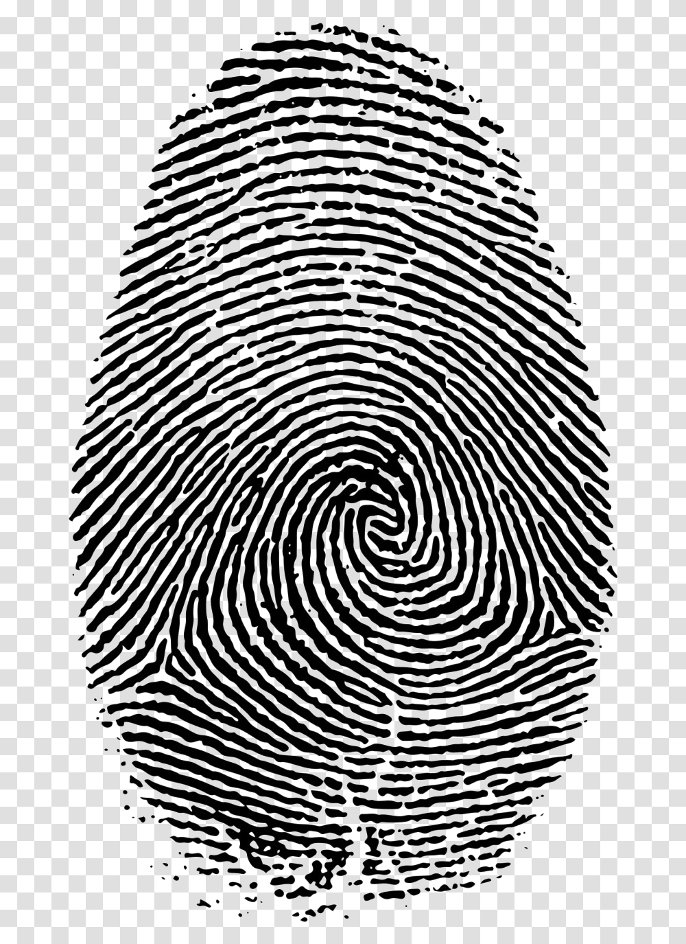 Background Fingerprint, Spiral, Rug, Coil Transparent Png